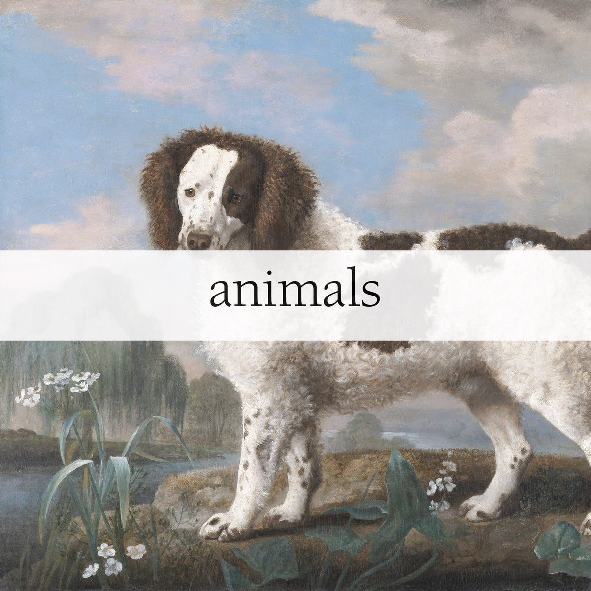 animals