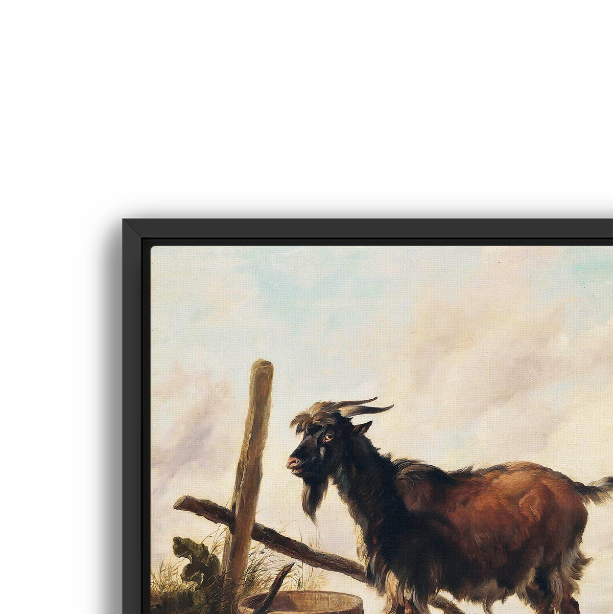 goat in the landscape