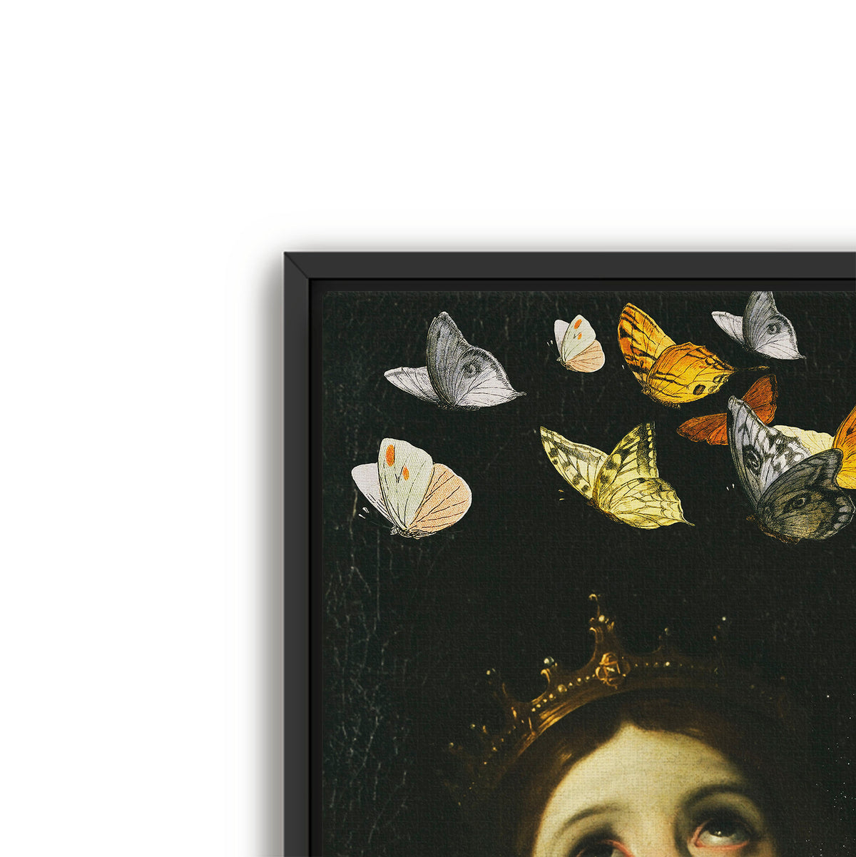butterfly princess