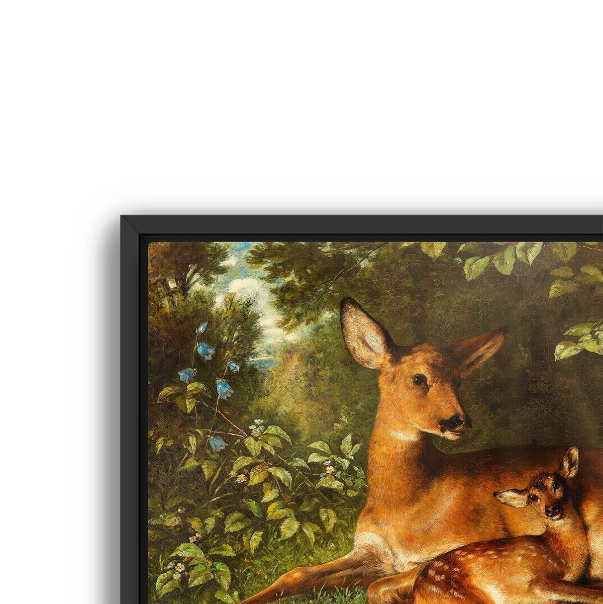 a doe with fawn