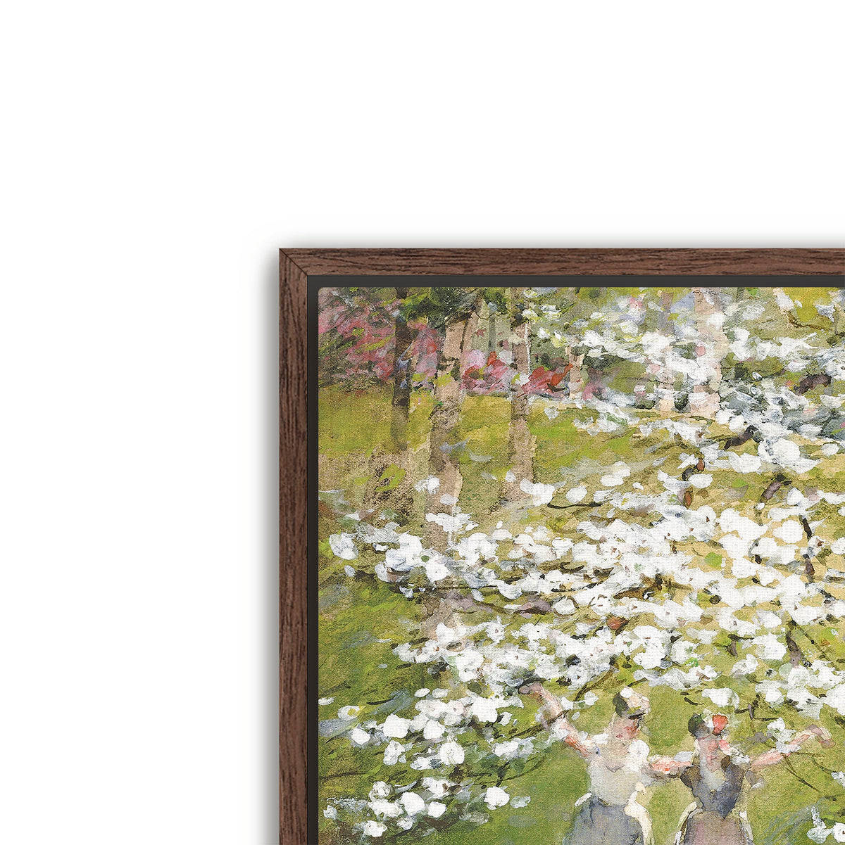 blossoms