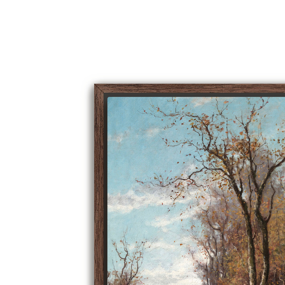 autumn landscape