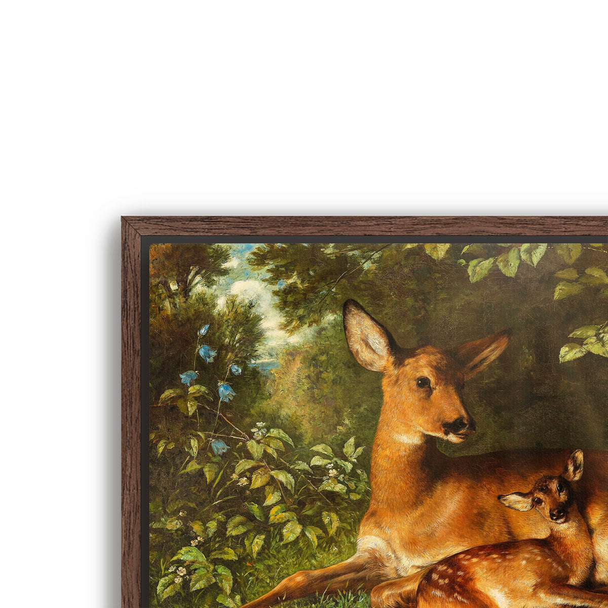 a doe with fawn