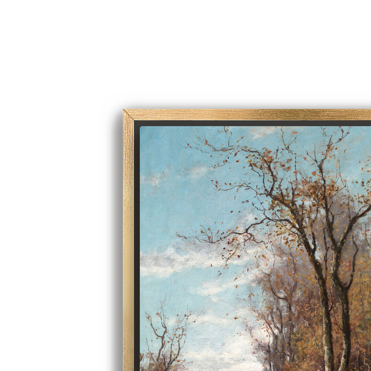 autumn landscape