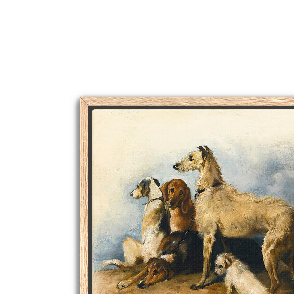 highland dogs- antique art print