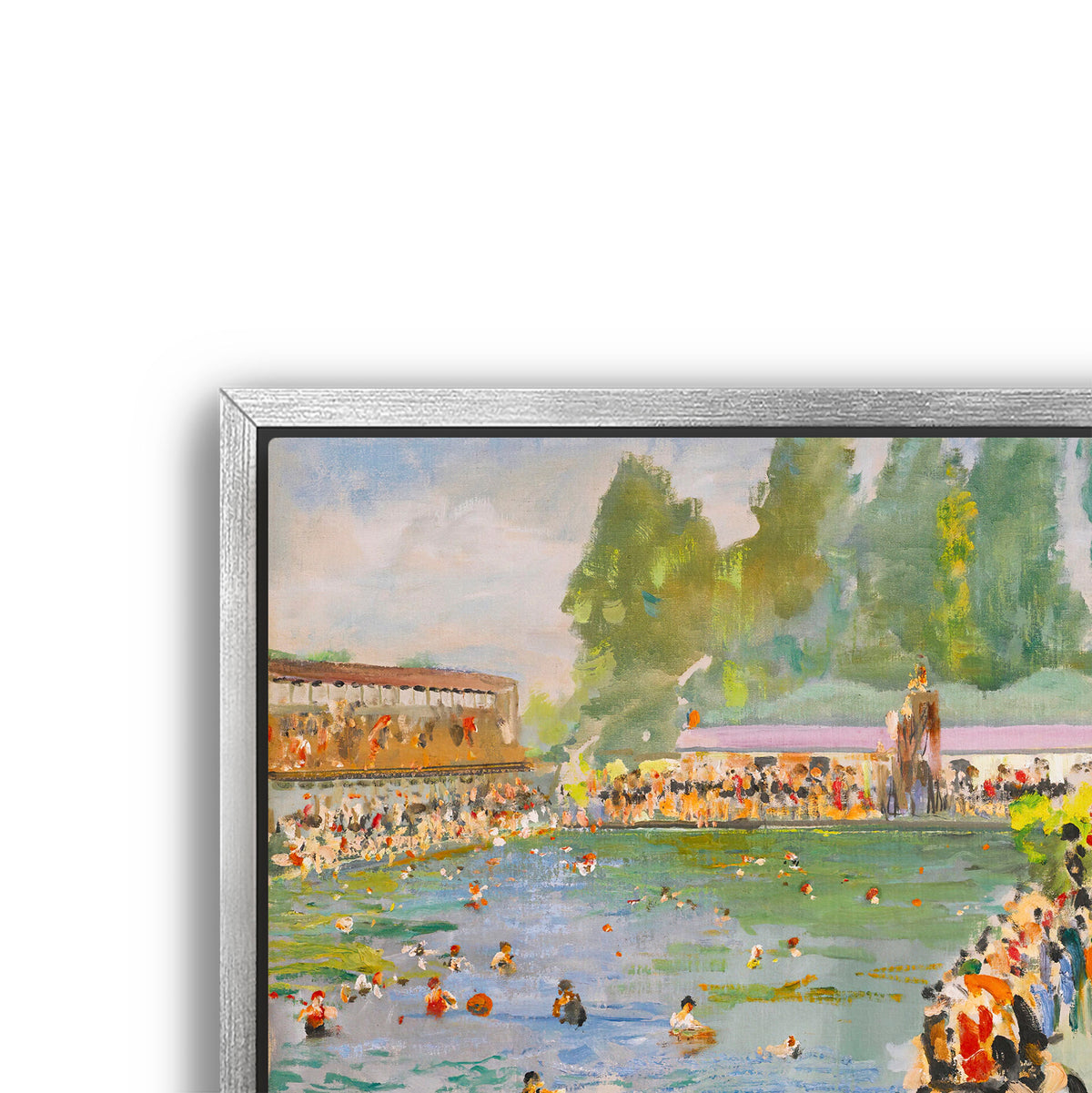 a summer swim