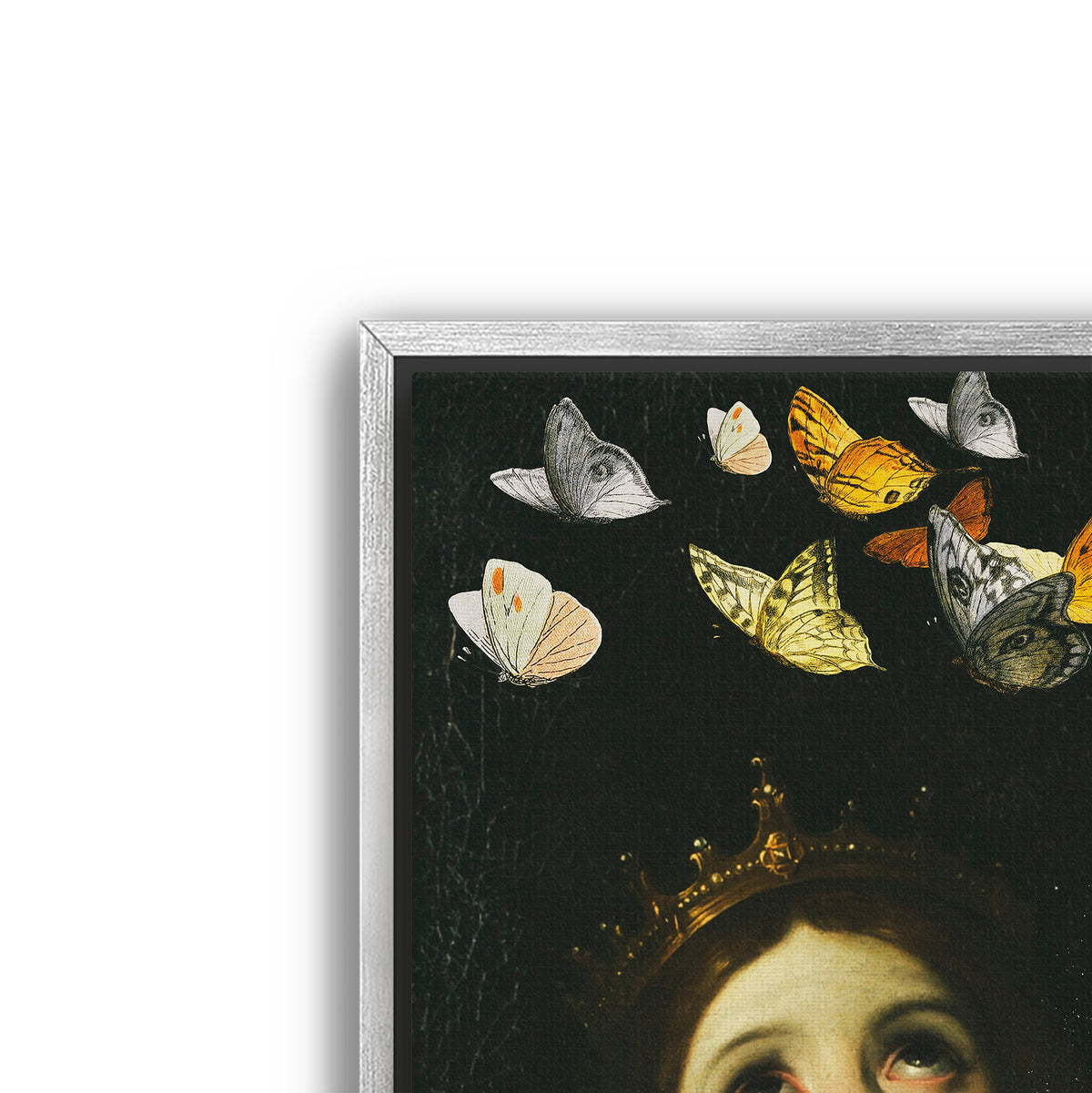 butterfly princess