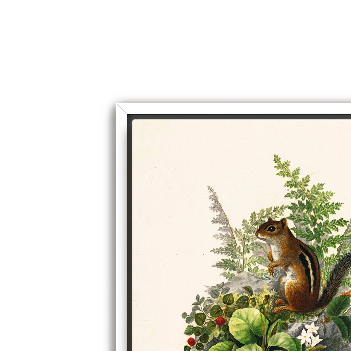 alvin