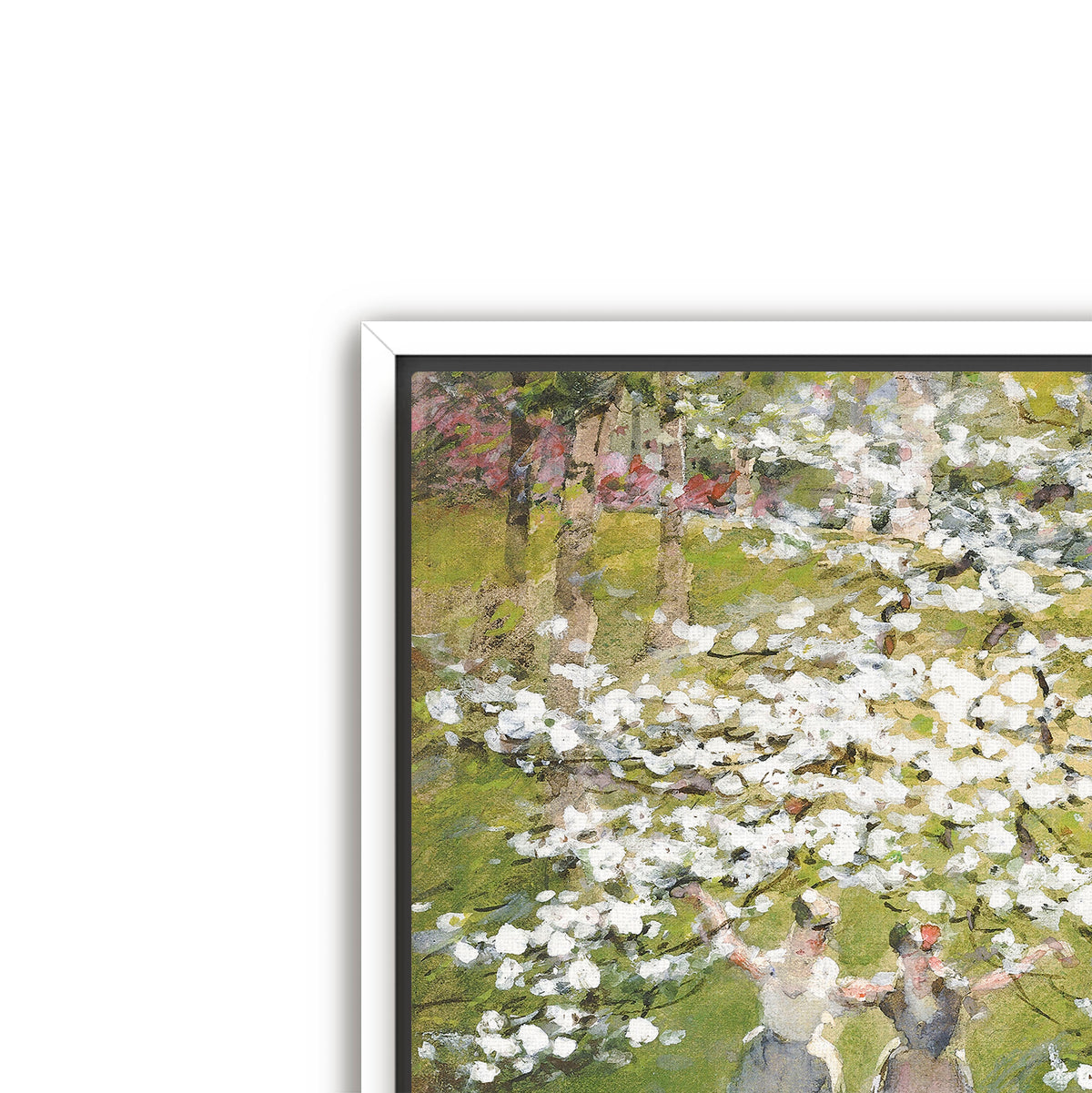 blossoms