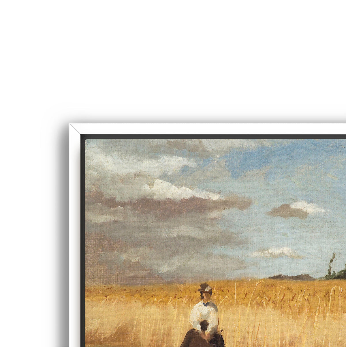 woman in wheat field