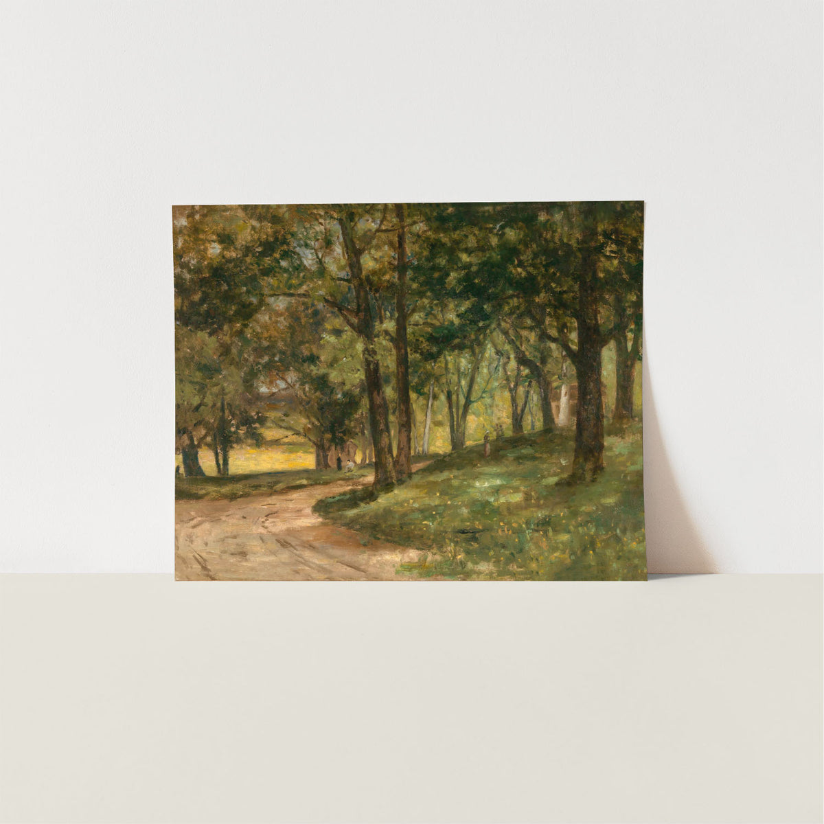 the forest road