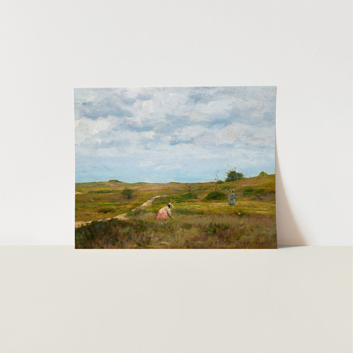 island meadow