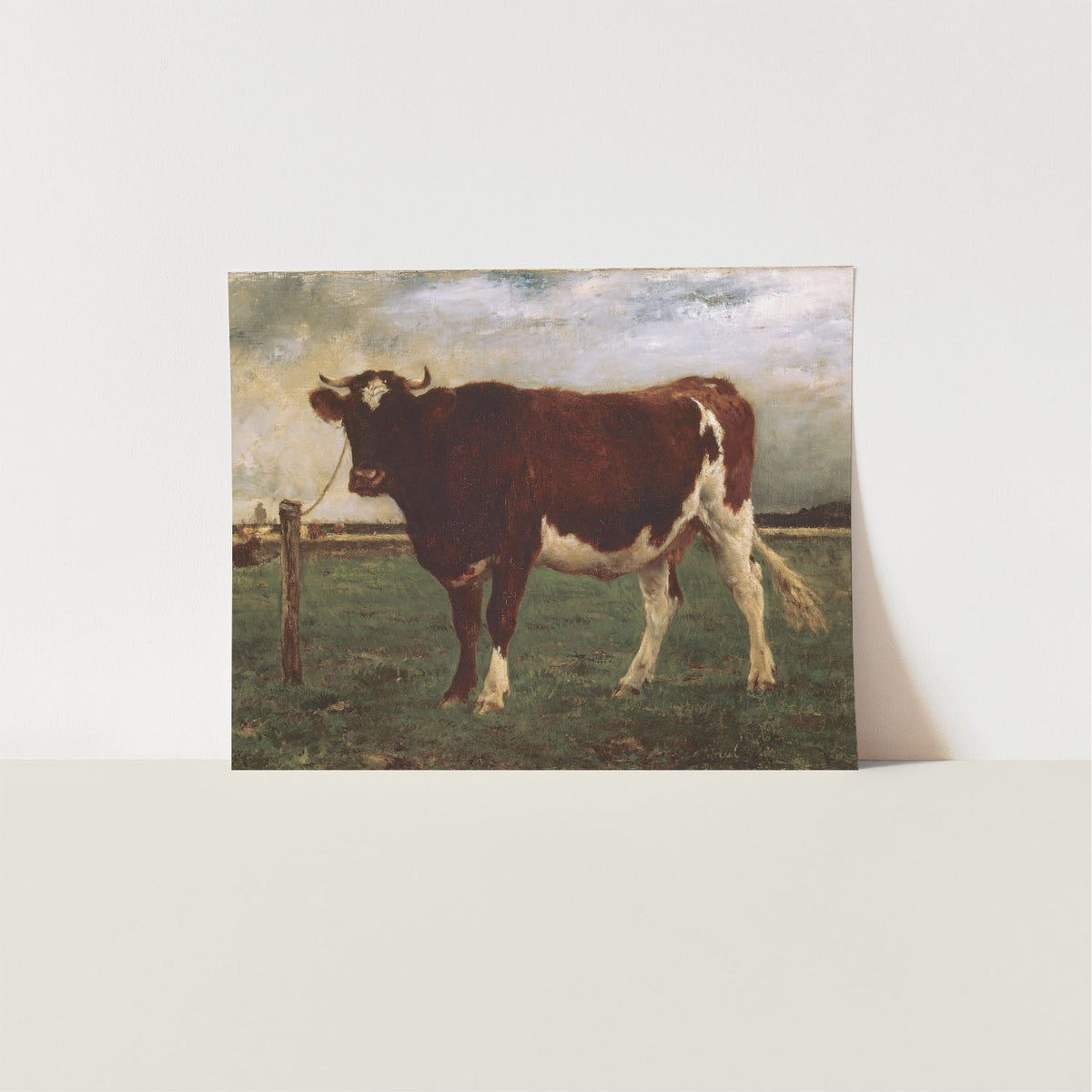 study of a cow