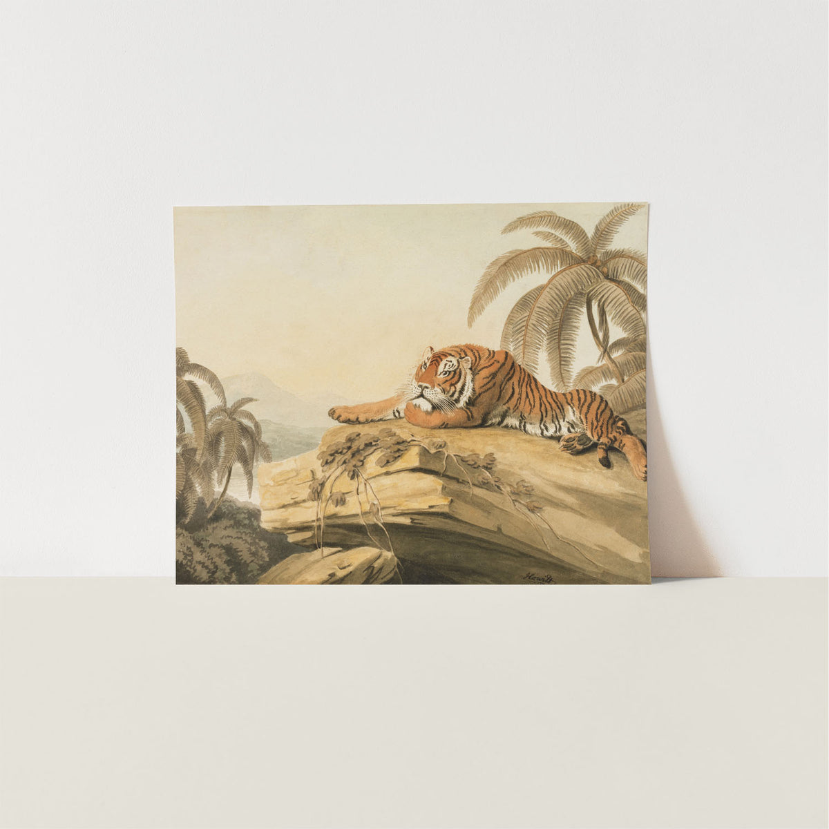 tiger at rest