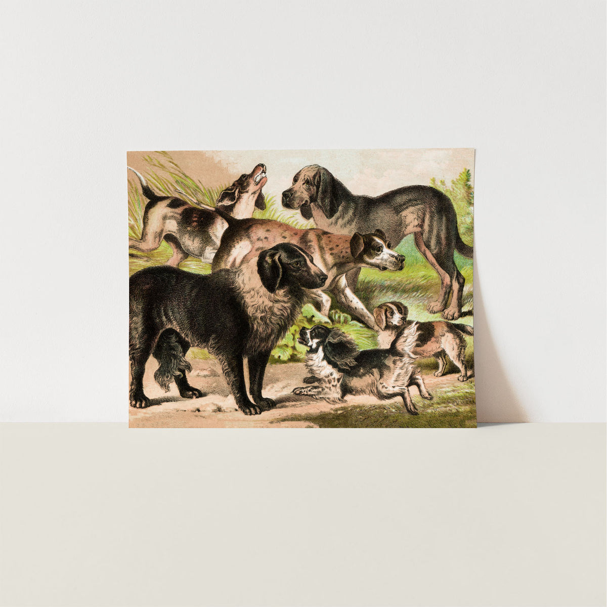 the pack