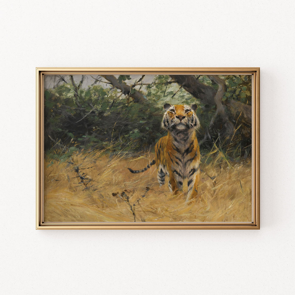 tiger on the watch