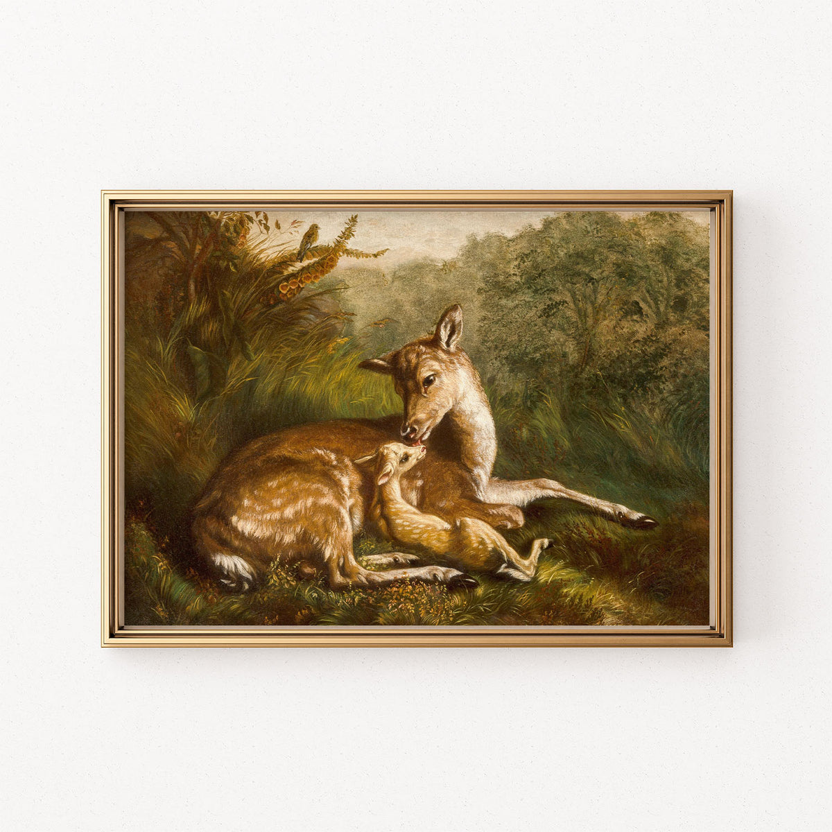 mother with fawn