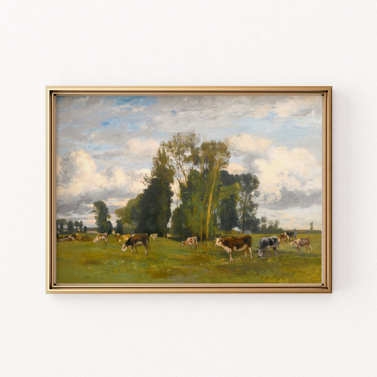 herd in the meadow