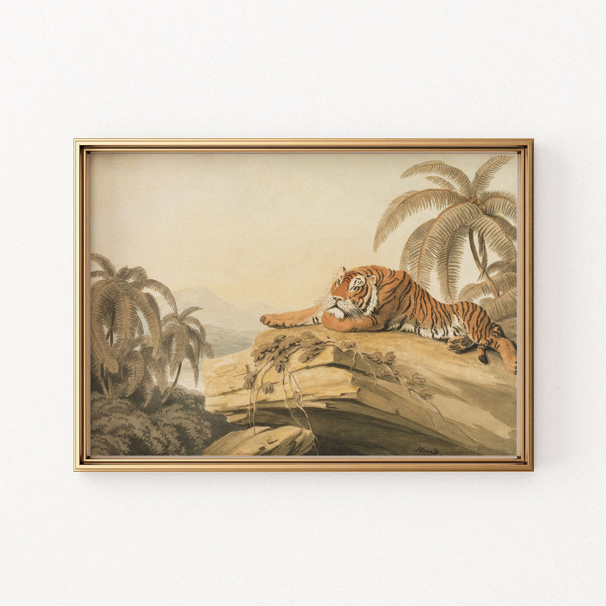 tiger at rest