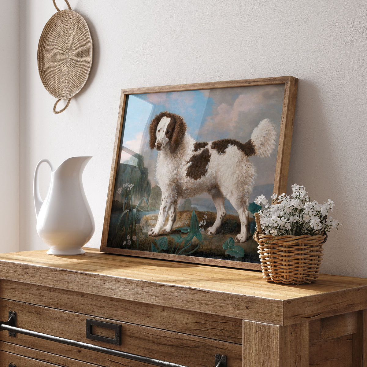 water spaniel