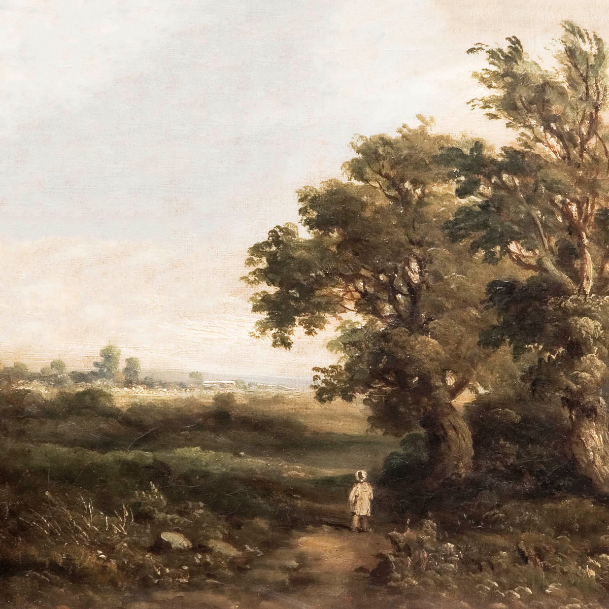 landscape with boy