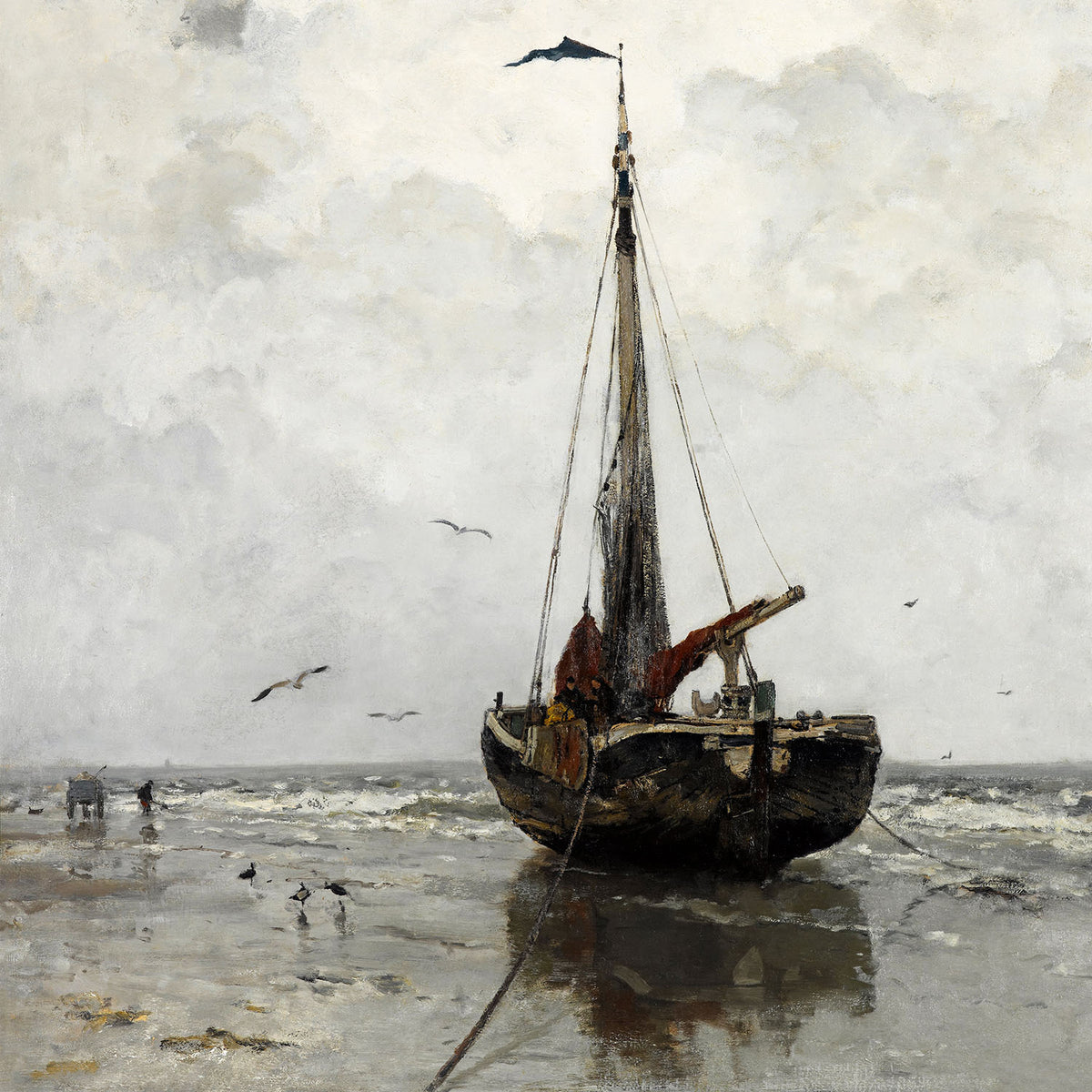 morning sea mist