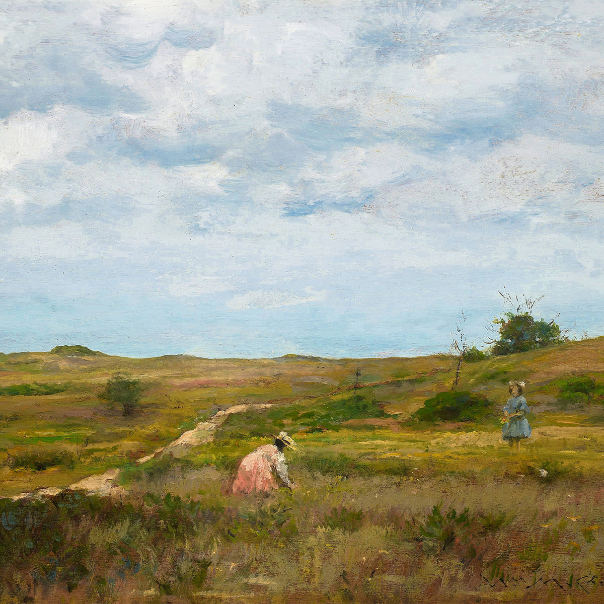 island meadow