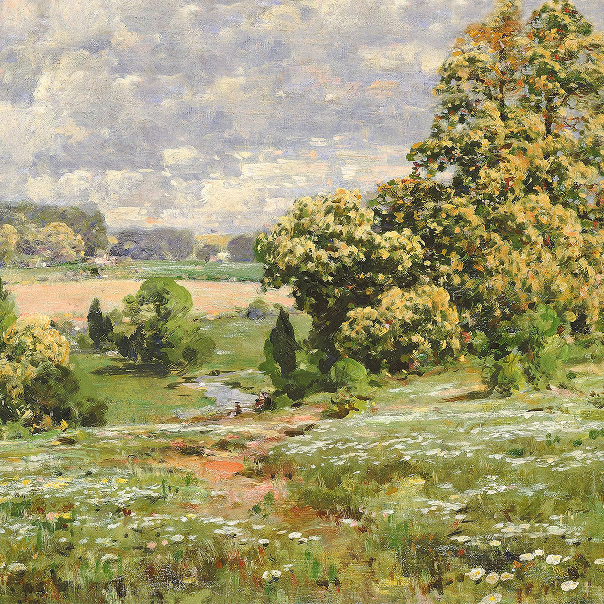 chestnut trees in bloom