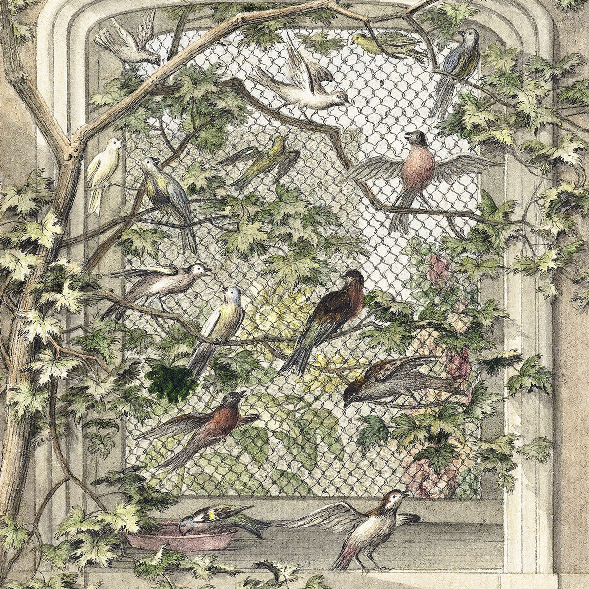 the aviary