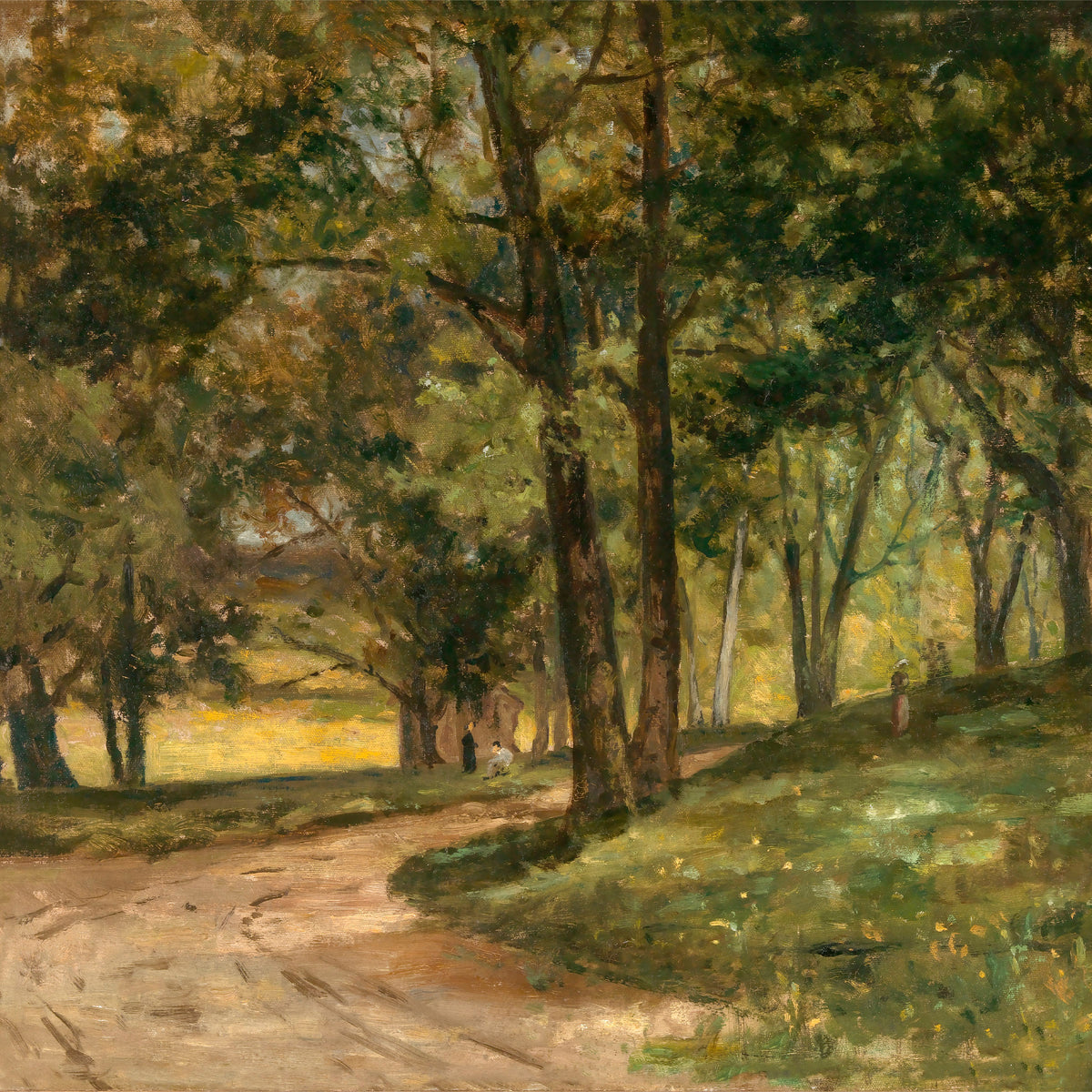 the forest road