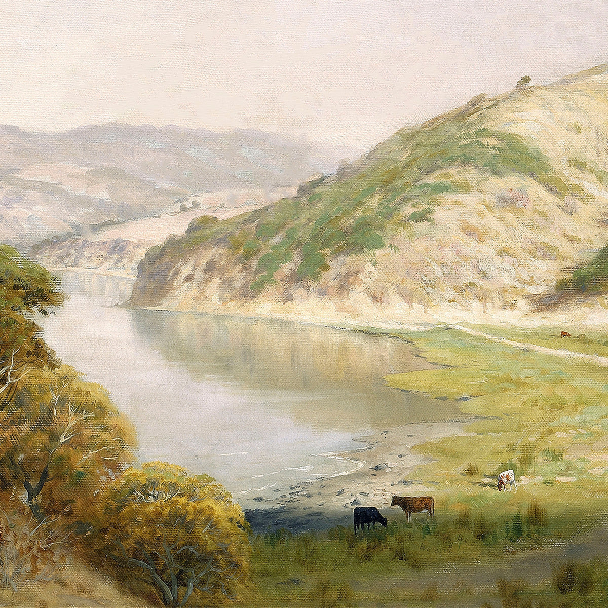 cows near the shore