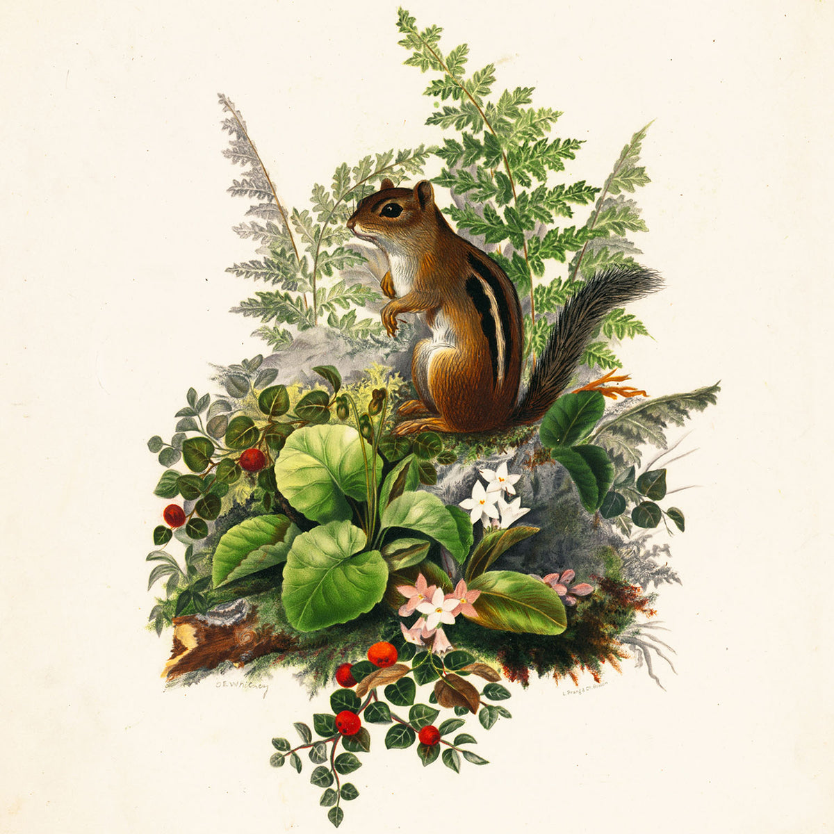 alvin