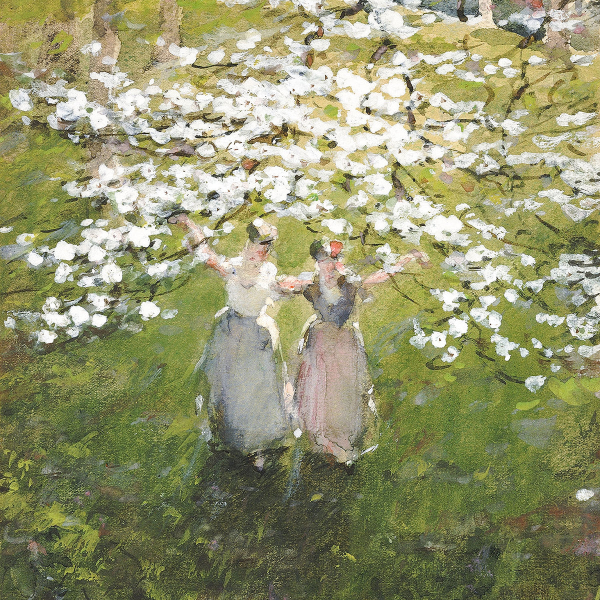 blossoms