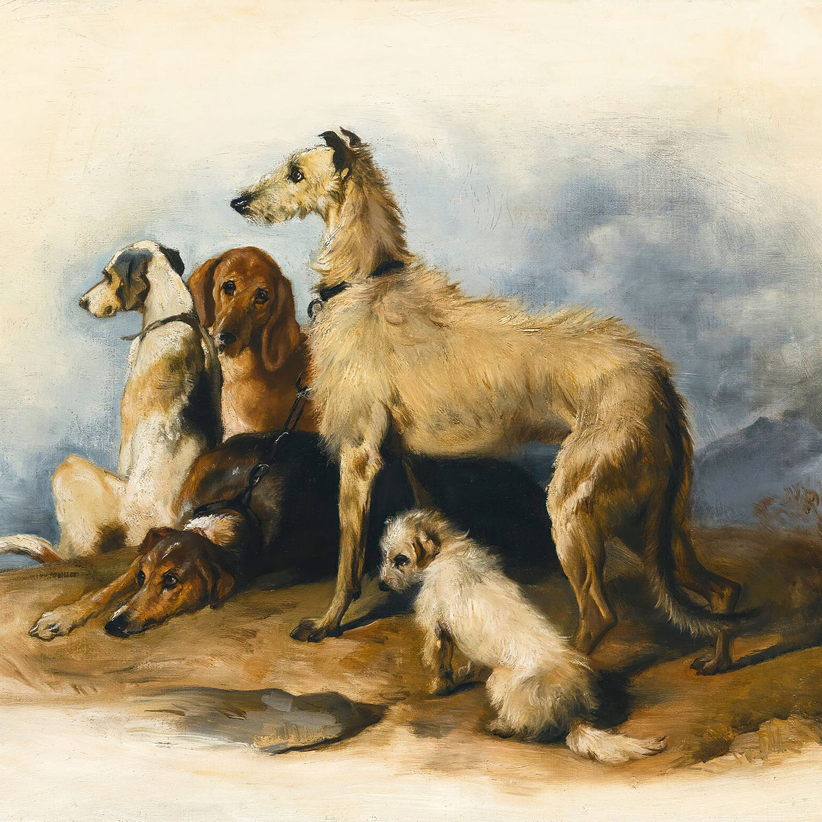 highland dogs