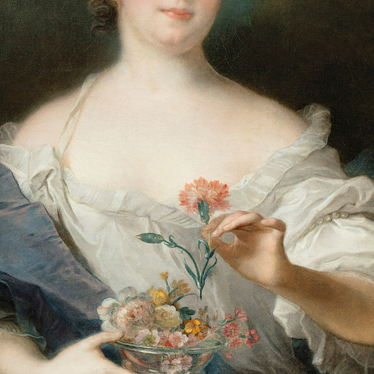 the carnation