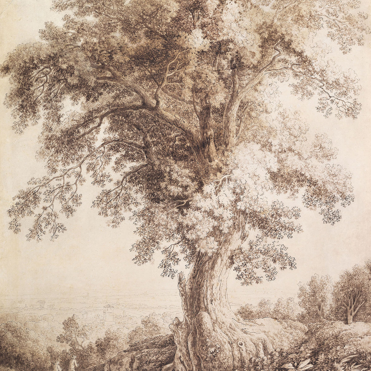 tree at albano