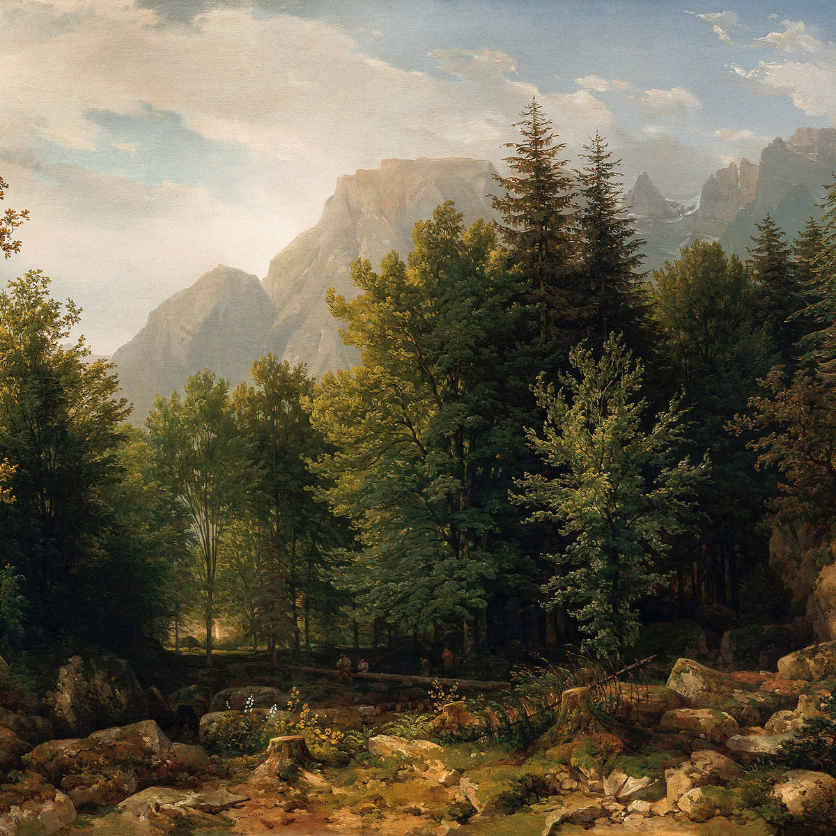 the clearing