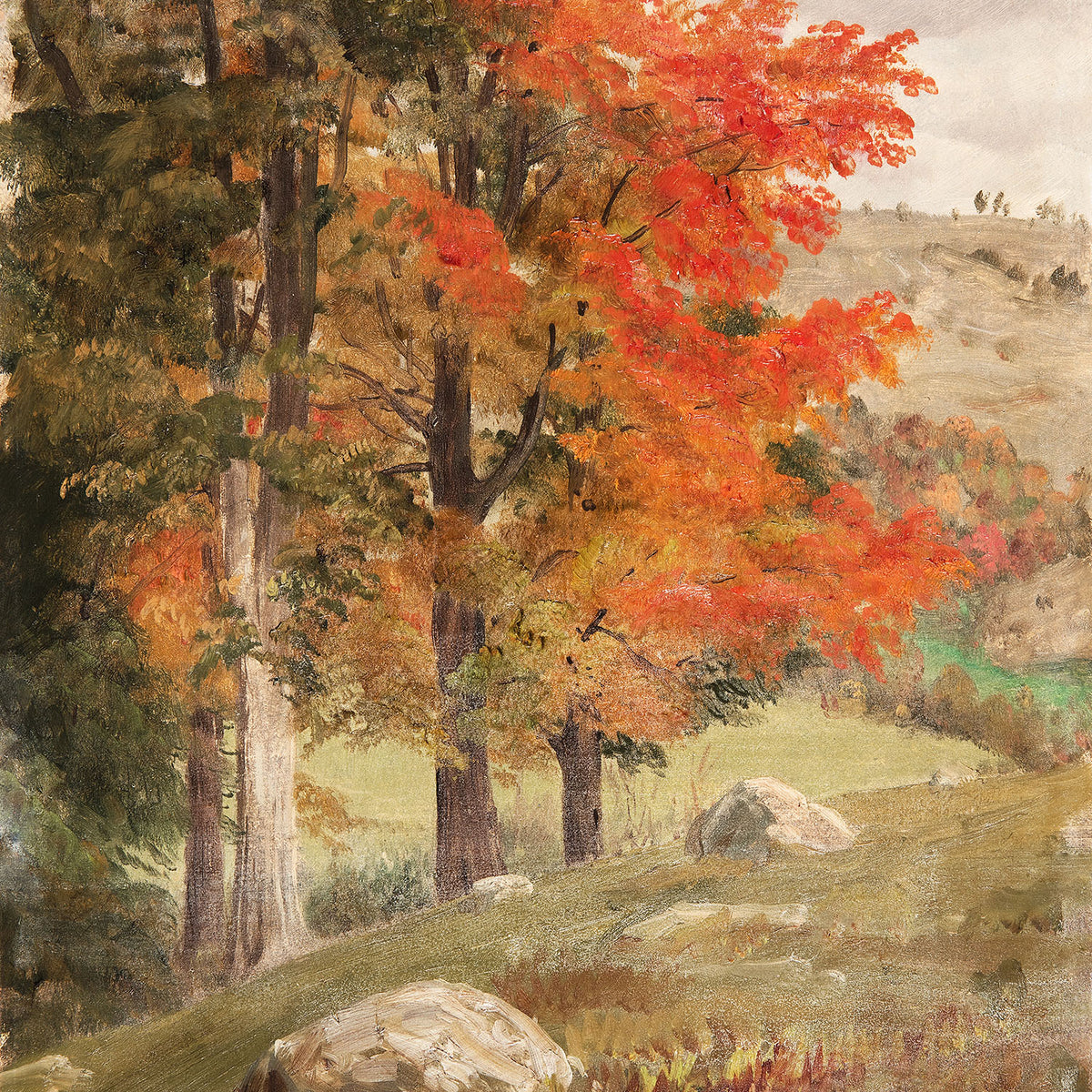 woods in autumn