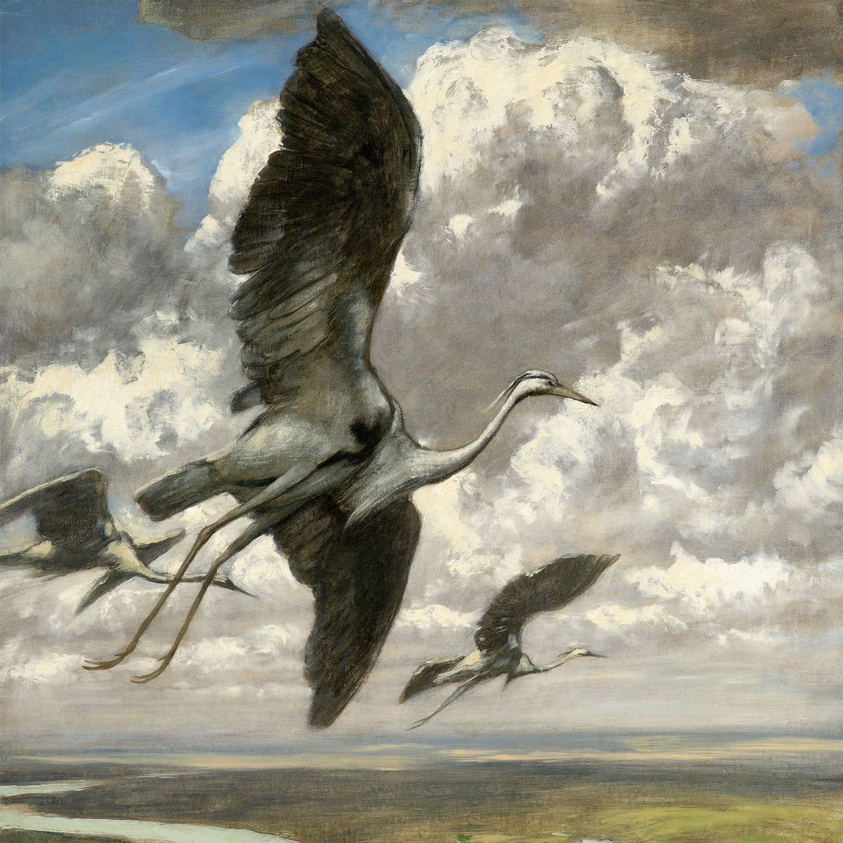 wondrous birds