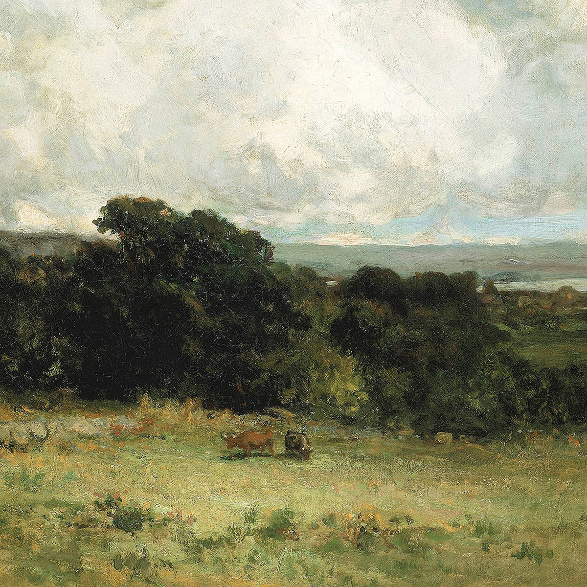 in the pasture