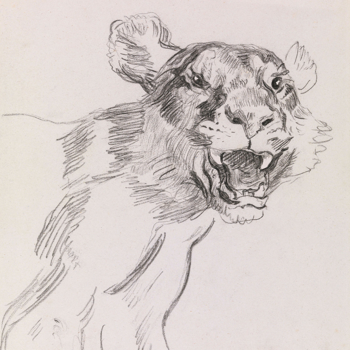 growl