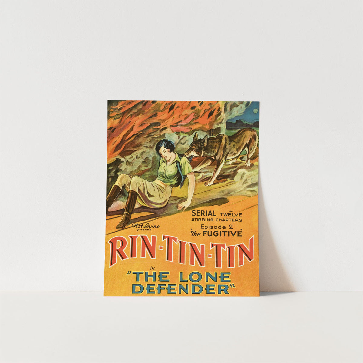 rin tin tin