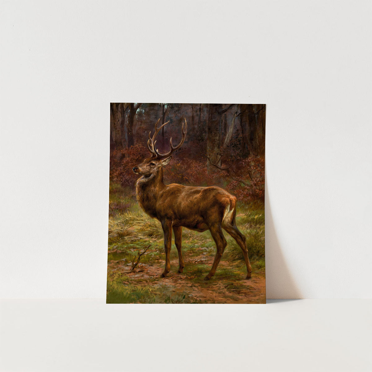 stag in autumn landscape