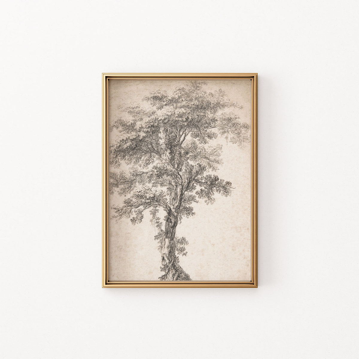 tree study one