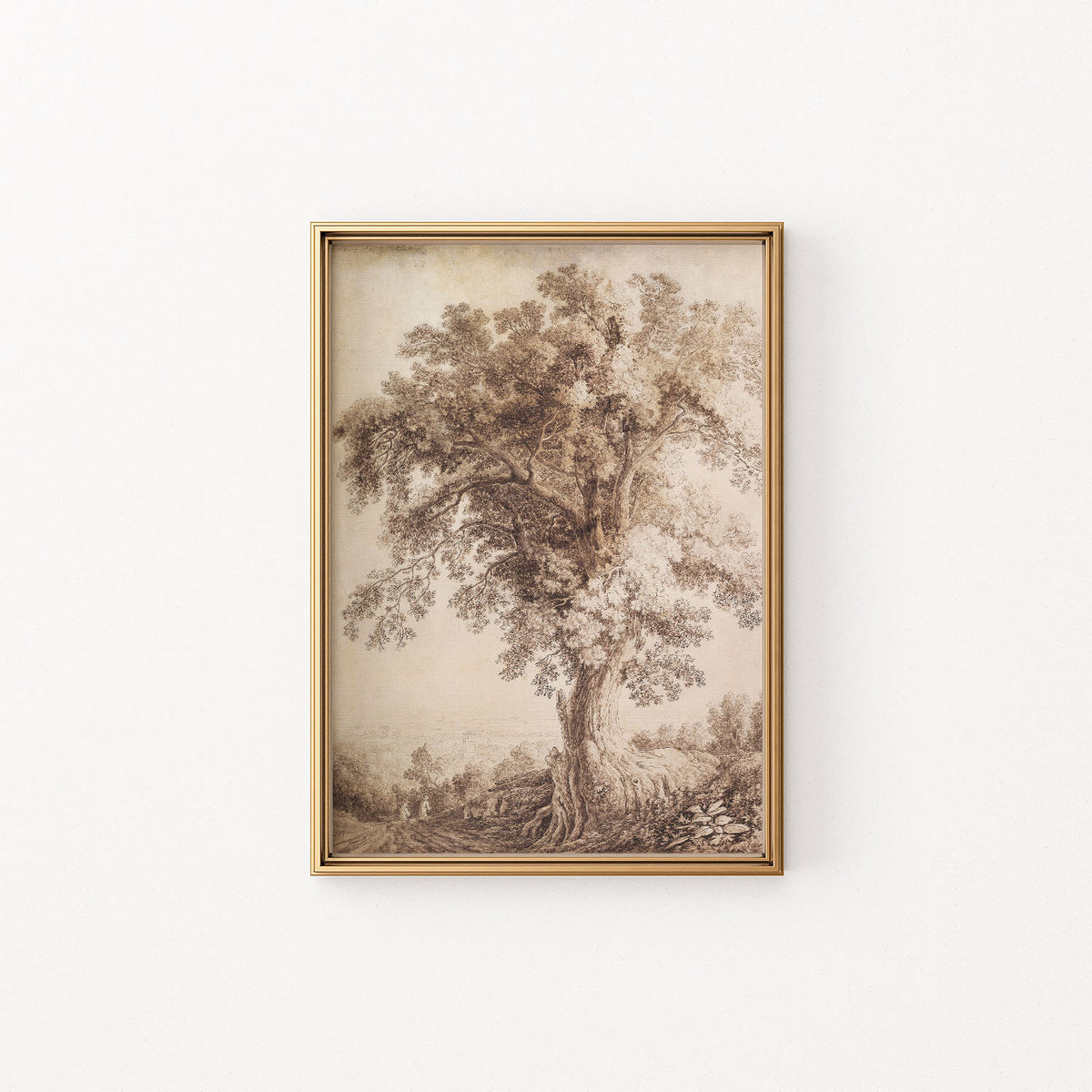 tree at albano