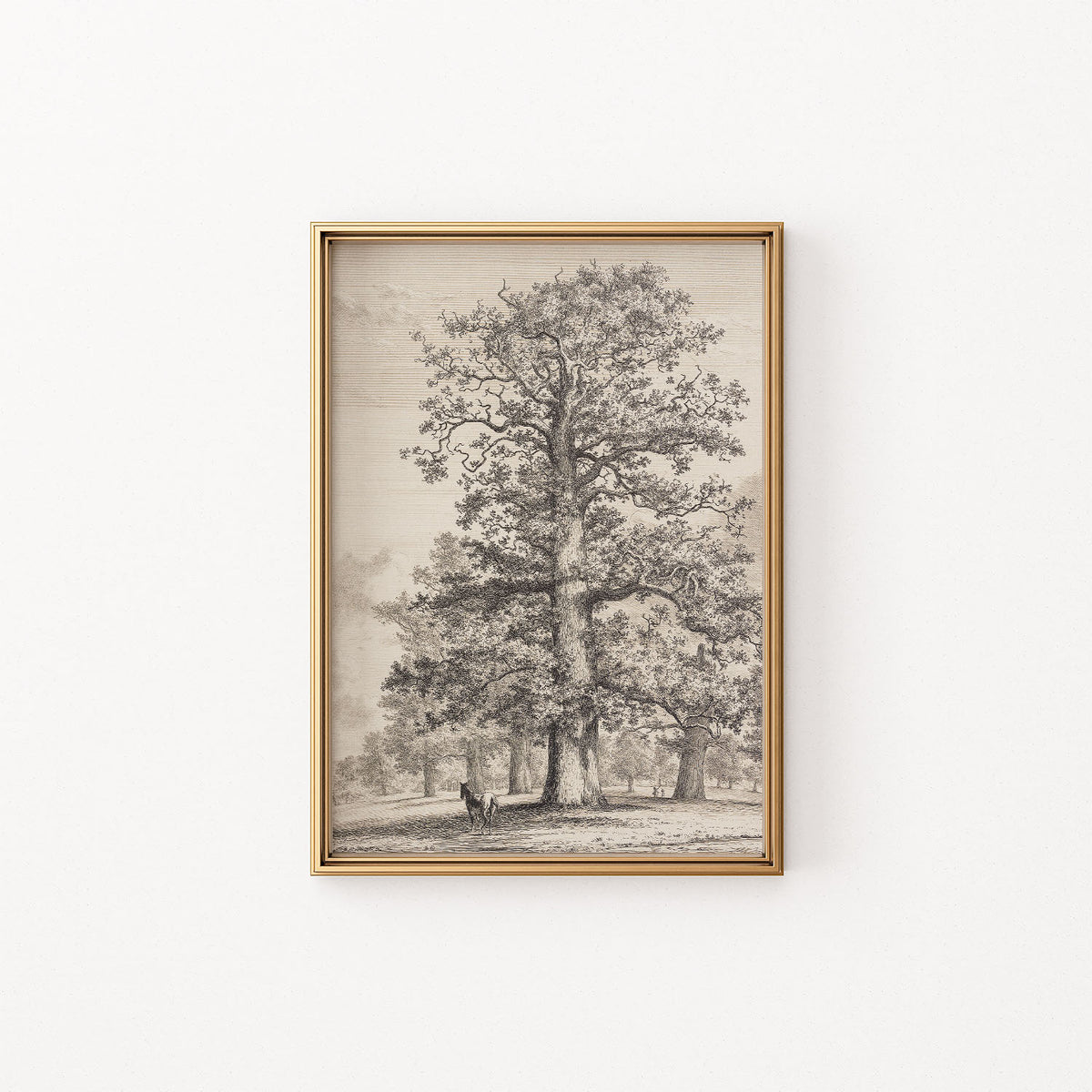 the tall oak at fredville