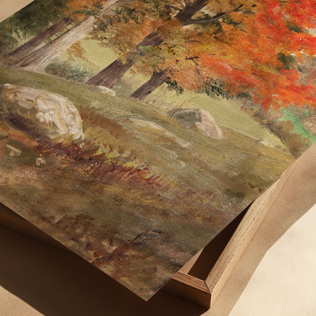 woods in autumn