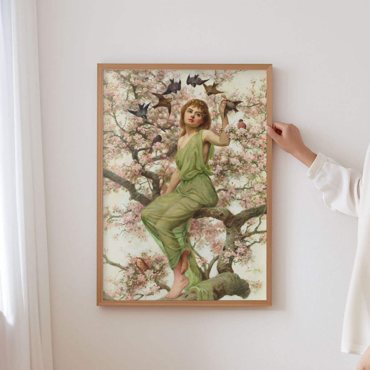 birds of spring