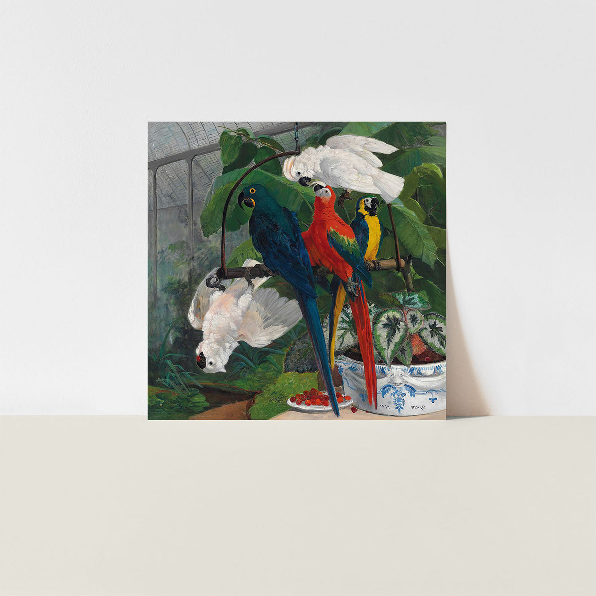 parrots