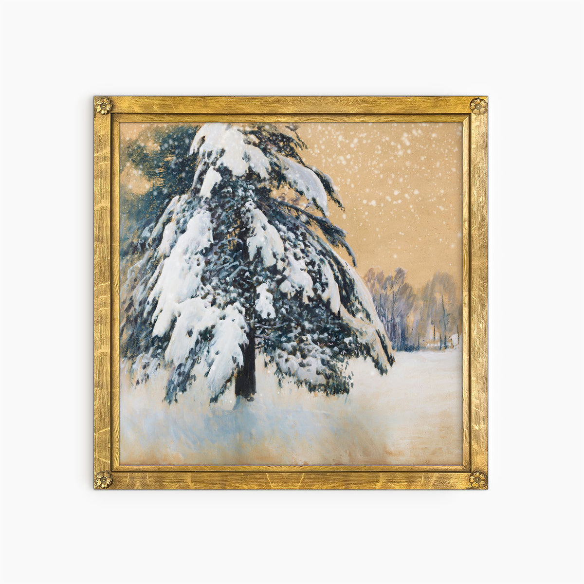 big pine